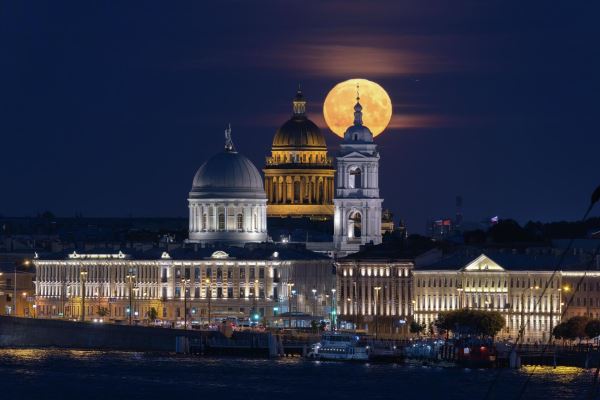 Лучшие из лучших: самые эффектные фото дикой природы России12