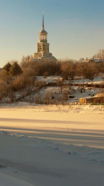 Лучшие из лучших: самые эффектные фото дикой природы России11